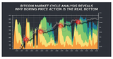 Illustration for article: Bitcoin Market Cycle Analysis Reveals Why Boring Price Action Is The Real Bottom: CryptoDailyInk