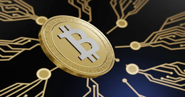 Illustration for article: Bitcoin Market Structure Shifts as Analysts Identify Stronger Support Floors: CryptoDailyInk