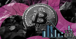 Illustration for article: Why Bitcoin Dropped Despite $1.1 Billion in ETF Inflows: CryptoDailyInk