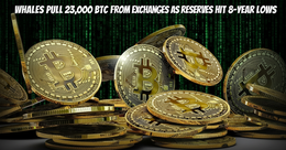 Illustration for article: Whales Pull 23,000 BTC From Exchanges as Reserves Hit 8-Year Lows: CryptoDailyInk