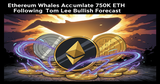 Illustration for article: Ethereum Whales Accumulate 750K ETH Following Tom Lee Bullish Forecast: CryptoDailyInk