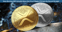 Illustration for article: Does Burning XRP Actually Move the Price? Ripple CTO Sets the Record Straight: CryptoDailyInk