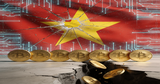 Illustration for article: Vietnam ONUS Bust Exposes Massive Crypto Fraud Risks for Retail Traders: CryptoDailyInk